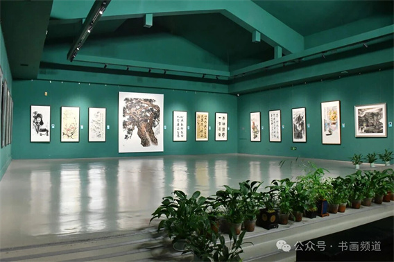 微信图片_2026-06-03_095034_773.jpg